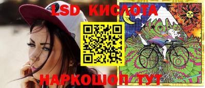 прущие грибы Комсомольск-на-Амуре