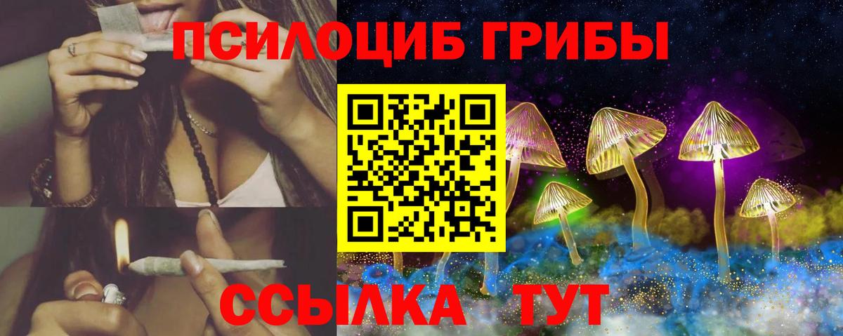 Псилоцибиновые грибы мицелий  Вход с VPN  Екатеринбург 