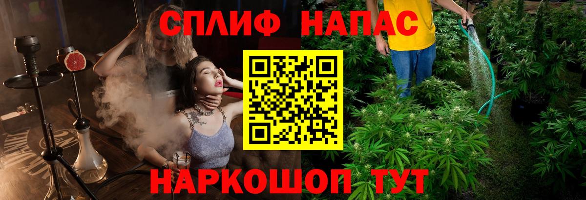 Конопля сатива  Каннабис Ganja  МАРИХУАНА ГИДРОПОН  Вход с VPN  Екатеринбург 